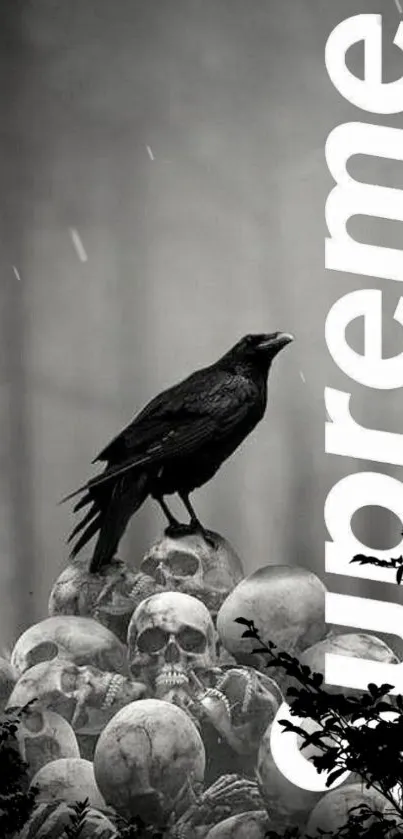 A raven perched on skulls with Supreme text in grayscale.