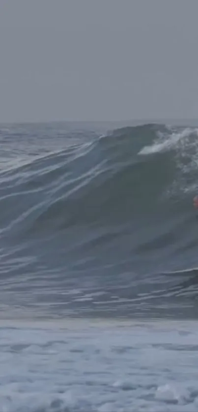 Surfer expertly rides a massive blue ocean wave.