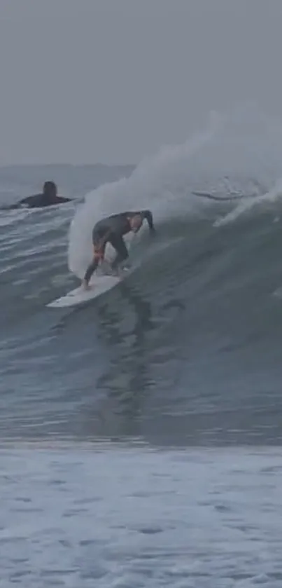 Surfer rides a towering ocean wave with precision.