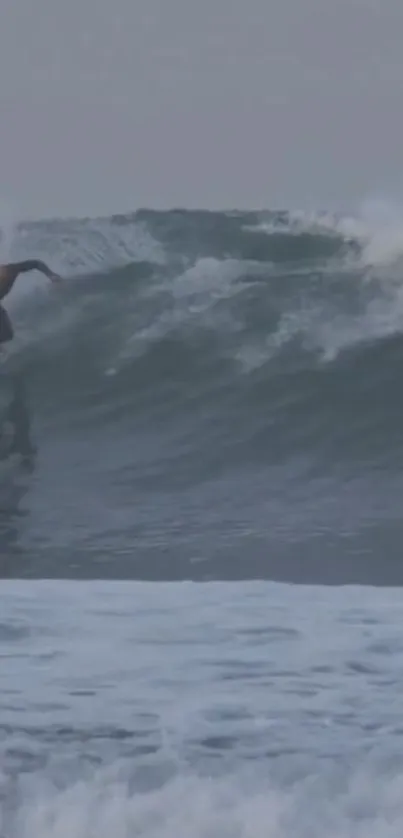 A surfer skillfully rides a large ocean wave.