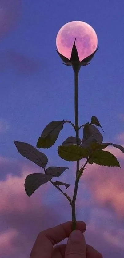 Hand holding a plant with a moon flower against a twilight sky.