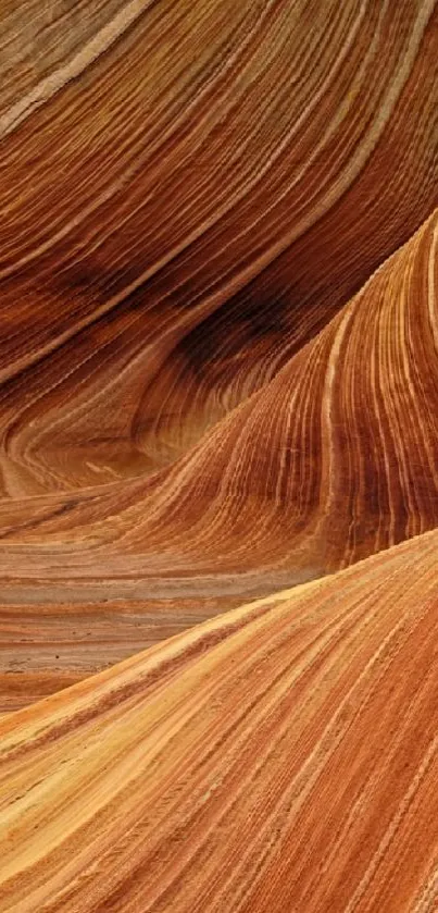 Mesmerizing orange sandstone waves creating abstract patterns.