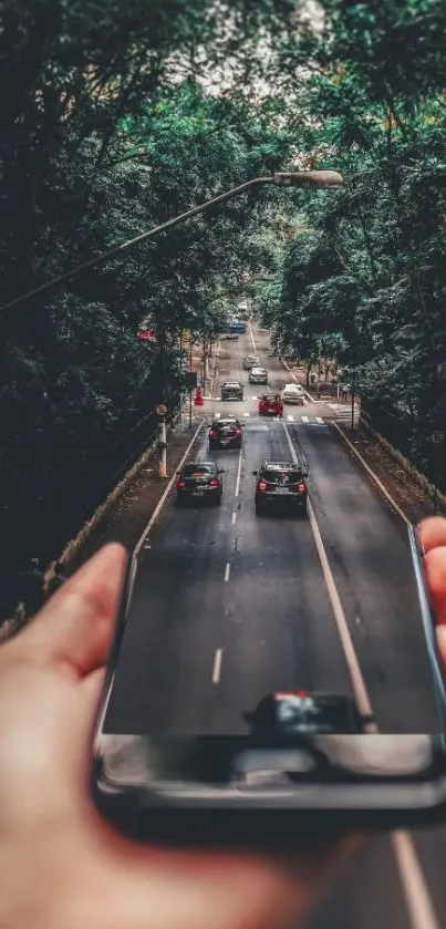 Surreal smartphone view of road and forest blending into one scene.