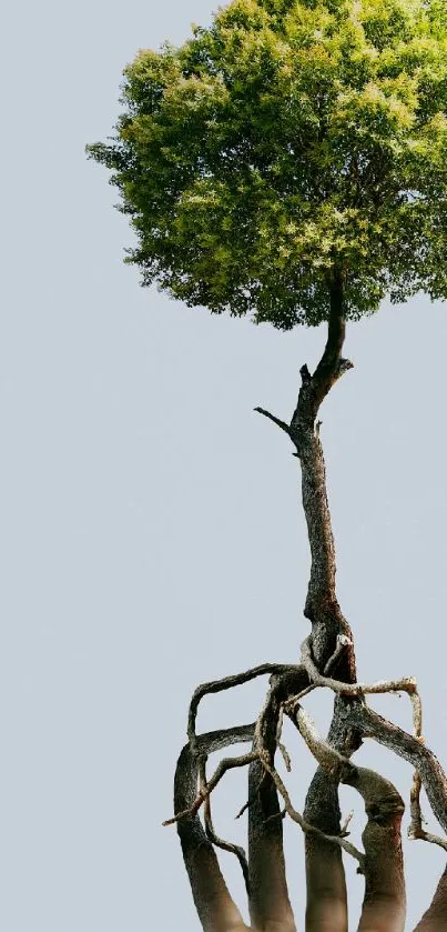 Surreal tree with intertwined roots on calming background.