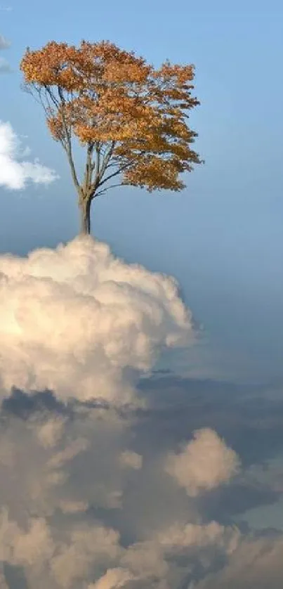 A solitary tree floating above fluffy clouds under a clear blue sky.