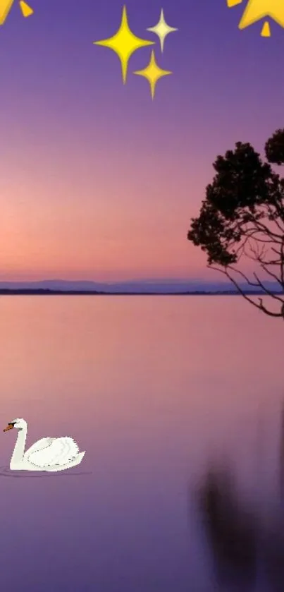 Swan on a tranquil lake with stars and twilight sky background.