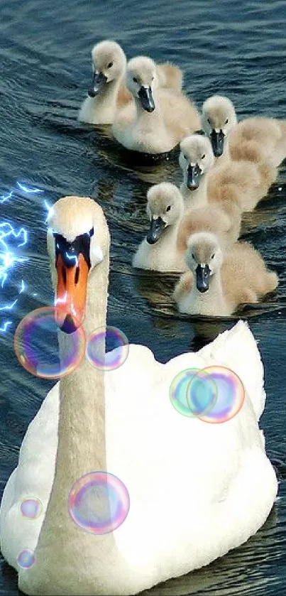 Swan leads cygnets on tranquil water scene.