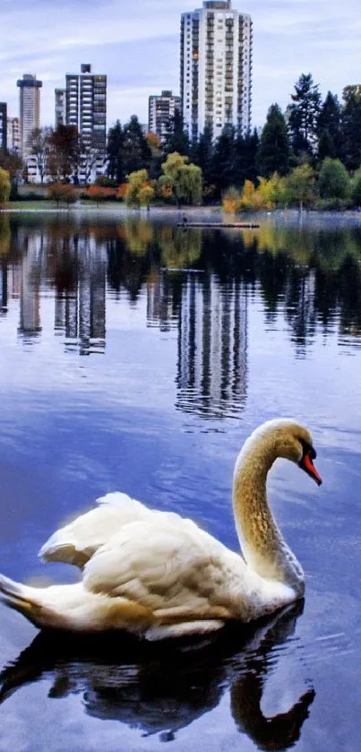 Graceful swan gliding on a reflective lake in front of a vibrant cityscape.