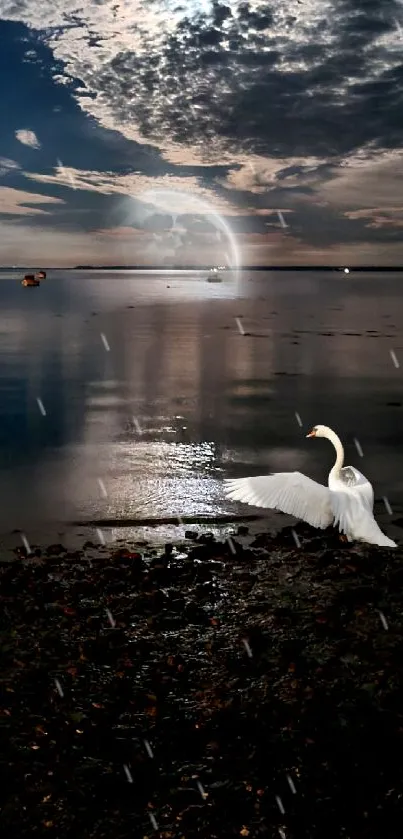 Swan by the moonlit shore, under a dramatic night sky.