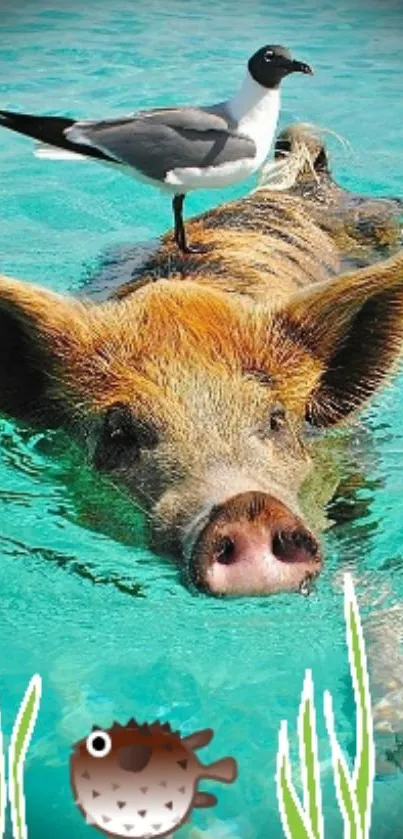 Pig swimming with a seagull on its back in turquoise water.