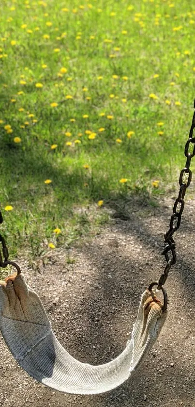 A lone swing in a sunny, blooming meadow with a rustic background.