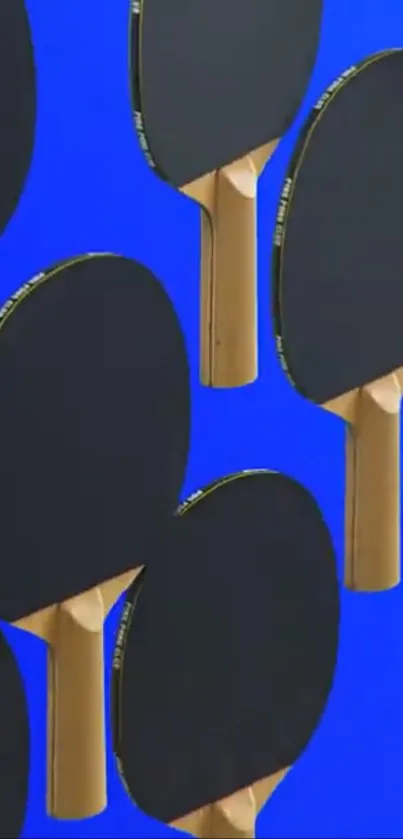 Table tennis paddles on a blue background wallpaper.