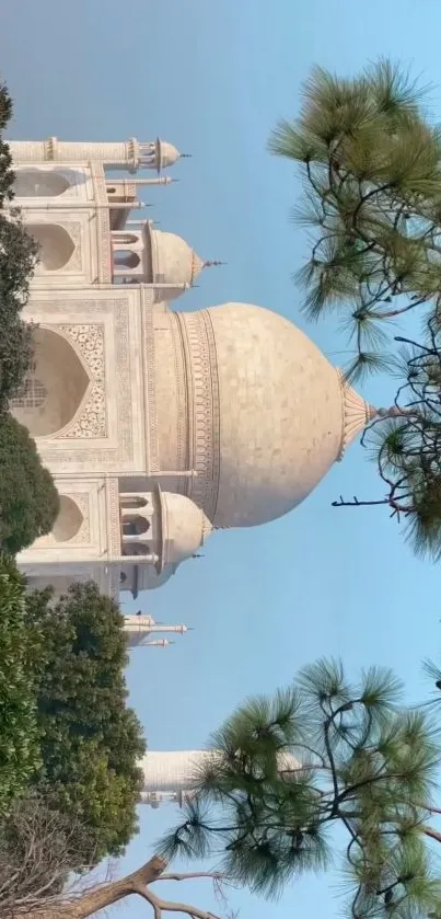 Taj Mahal with trees under a blue sky, perfect mobile wallpaper.