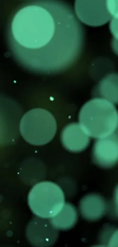 Teal bokeh wallpaper with soft blurred circles.