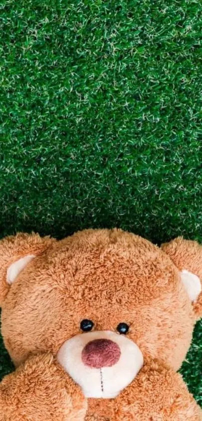 Adorable teddy bear resting on lush green grass background.