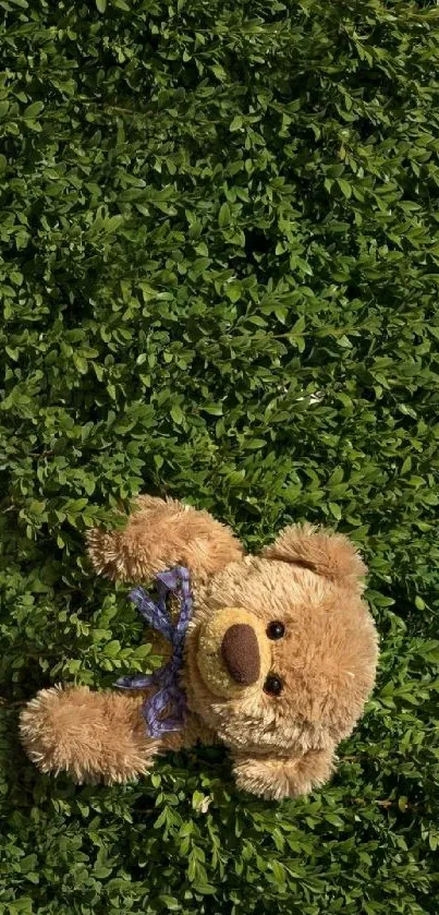 Teddy bear on a green leafy background, vibrant and cute.