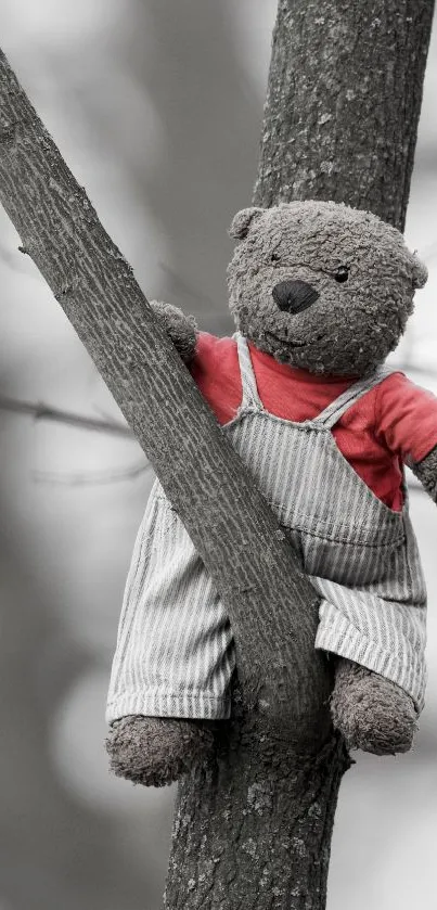 Teddy bear in overalls sits in a tree, creating a whimsical mobile wallpaper.