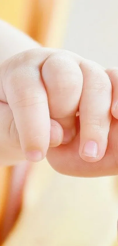 Close-up of a baby hand holding another hand, symbolizing love and warmth.