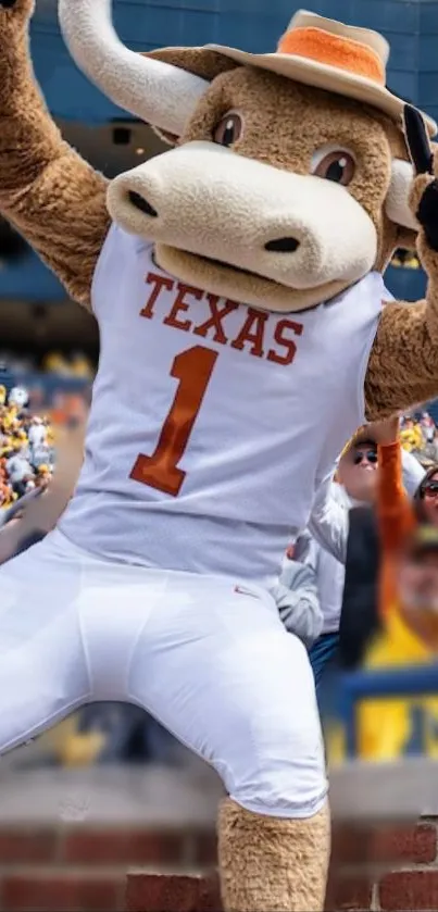 Texas bull mascot cheering at sports event