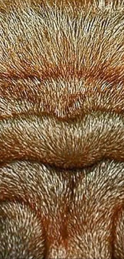 Close-up of brown animal fur texture wallpaper.