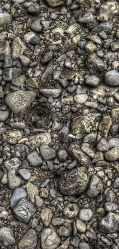 Pebble beach wallpaper with earthy tones and natural textures.