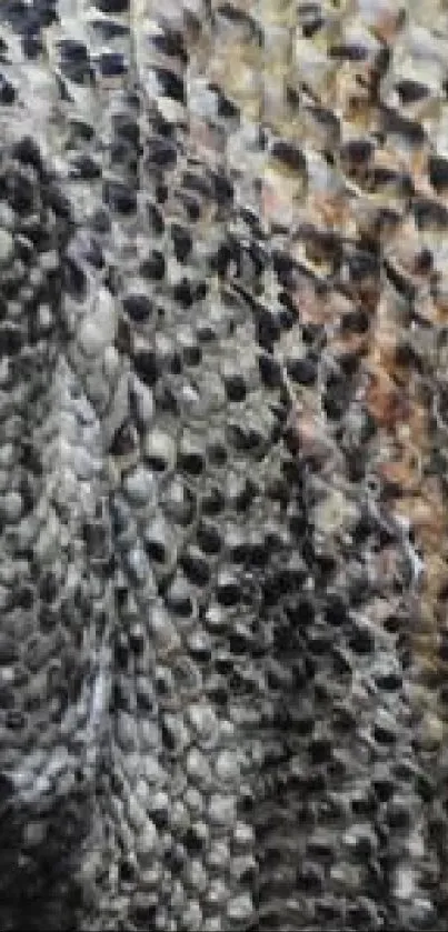 Close-up view of textured snake skin in shades of charcoal and cream.