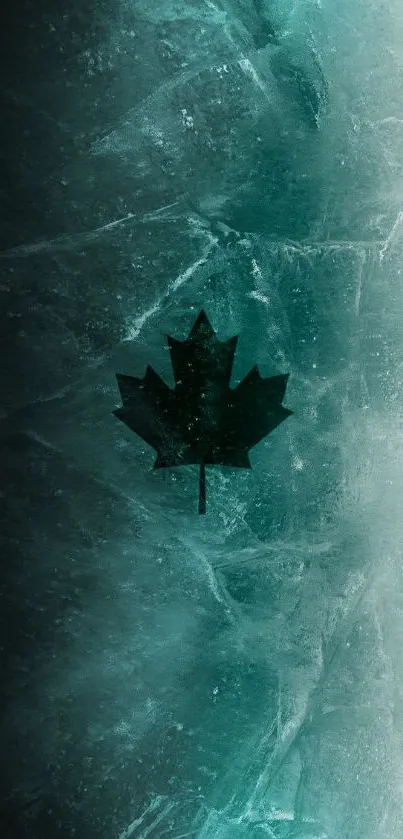 Teal maple leaf on textured icy background wallpaper.