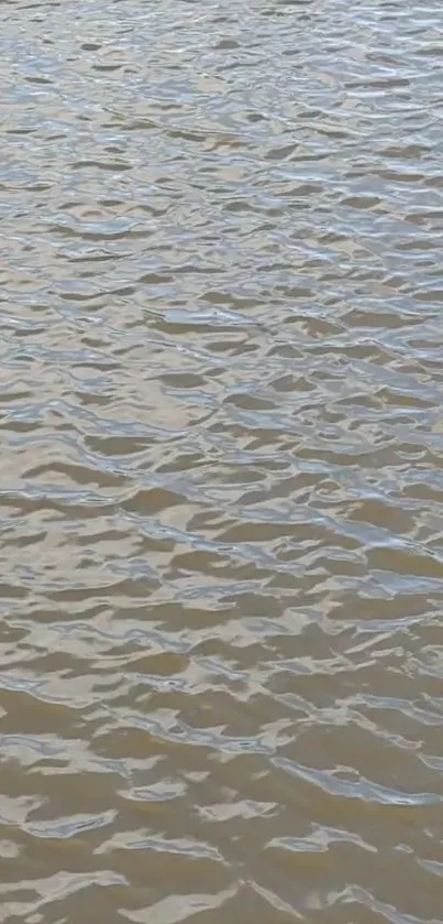 Calm water surface with gentle ripples.