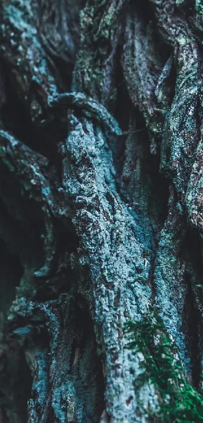 Close-up of detailed tree bark texture wallpaper.