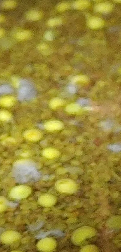 Intricate yellow texture with abstract design on mobile wallpaper.