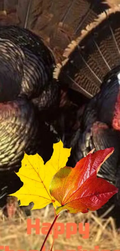 Thanksgiving turkeys with autumn leaves.