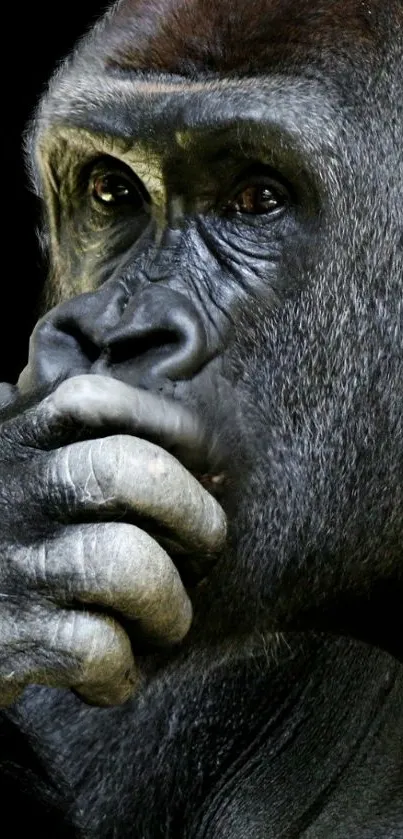 Gorilla deep in thought, close-up view.