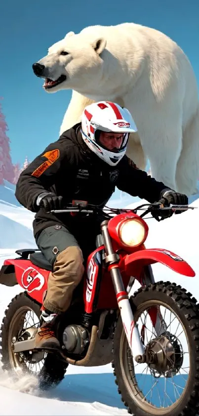 Motorcyclist chased by polar bear in snowy landscape wallpaper.