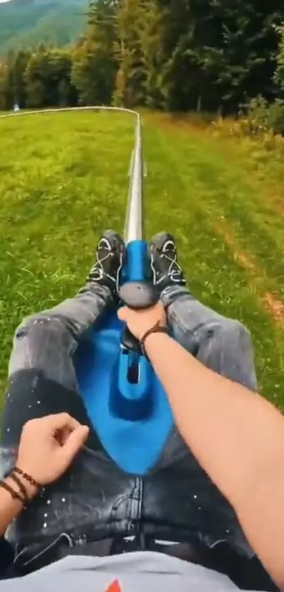 Alpine coaster ride with lush greenery backdrop