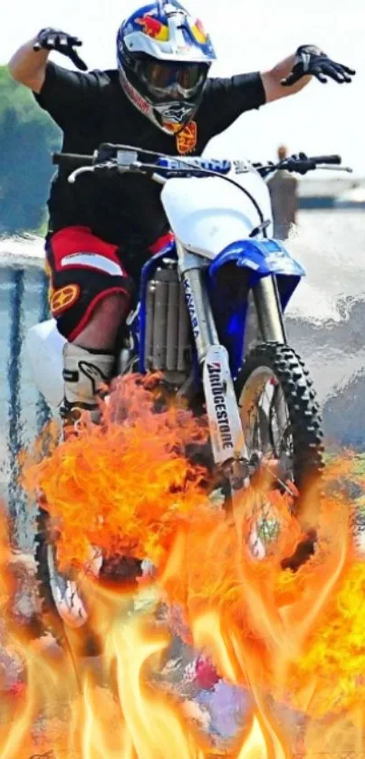 Biker performing a daring jump through flames on a motocross bike.