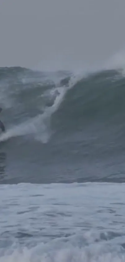 Surfer riding massive ocean waves in thrilling action scene.