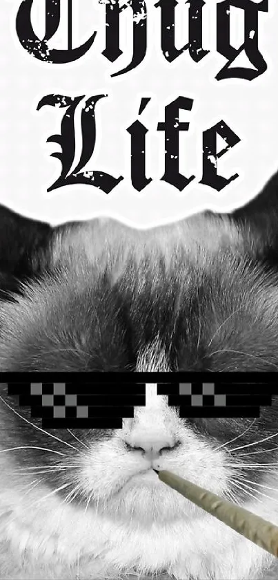 Funny Thug Life cat with pixel glasses and a cigarette, perfect for memes.