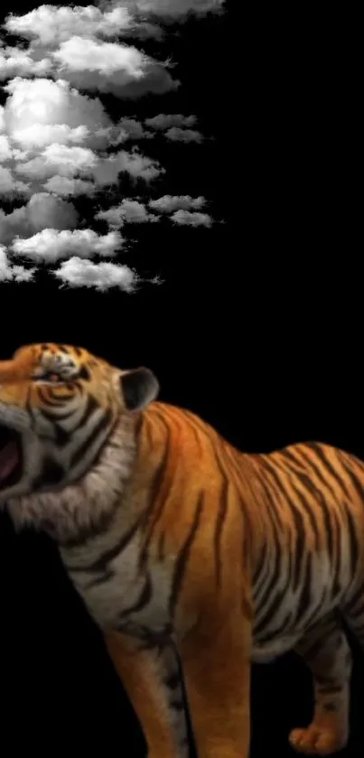 A roaring tiger beneath cloud formations on a black background.