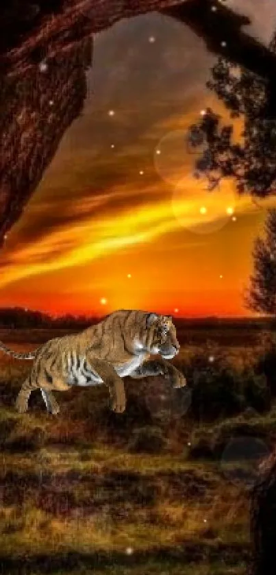 Tiger walking through a sunset landscape with trees.