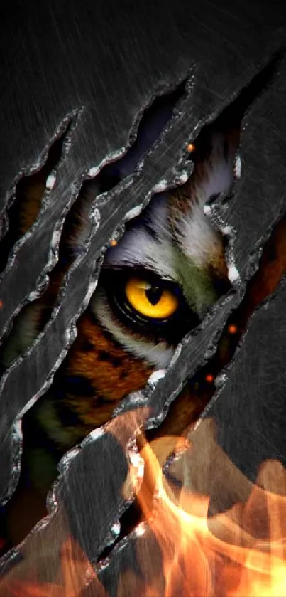 Tiger eye peeking through claw marks on a dark background wallpaper.