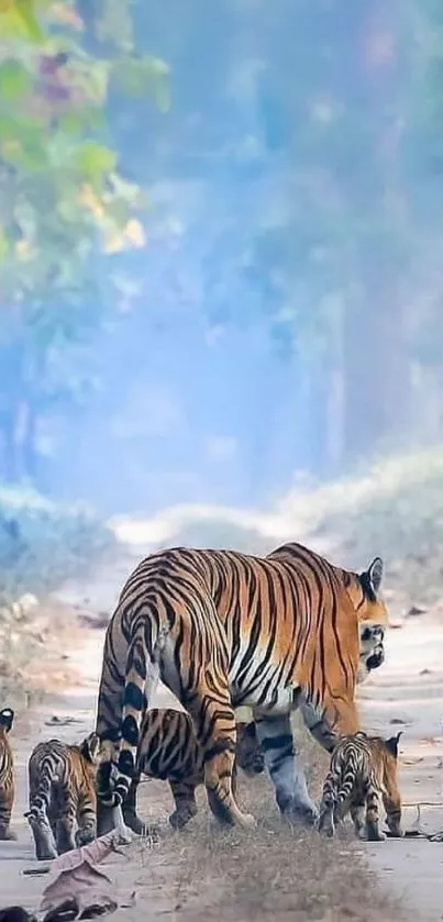 Tiger and cubs walking through serene forest path.