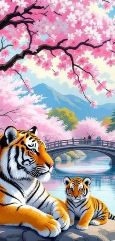 Tiger sits under cherry blossoms near a tranquil bridge.