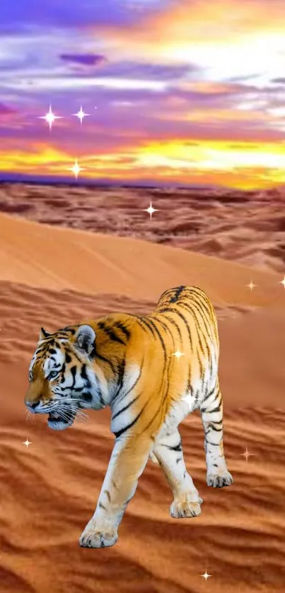 Tiger walks in a vibrant desert sunset with colorful sky above.