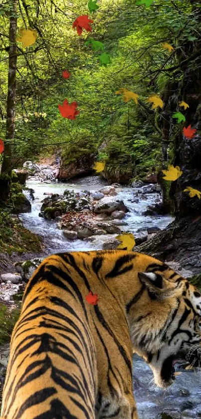 Tiger near forest creek with lush greenery background.