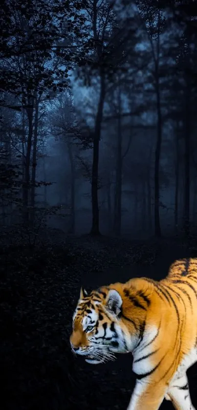 Tiger in a mystical dark forest captures nature's allure.