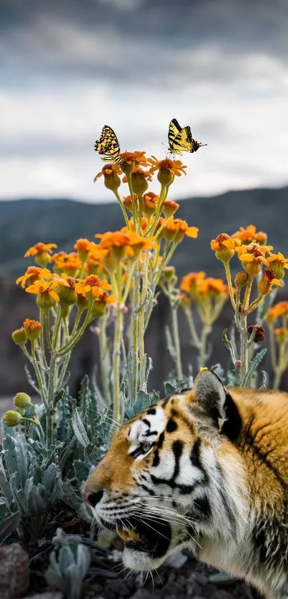 Tiger among orange flowers with butterflies in nature scene.