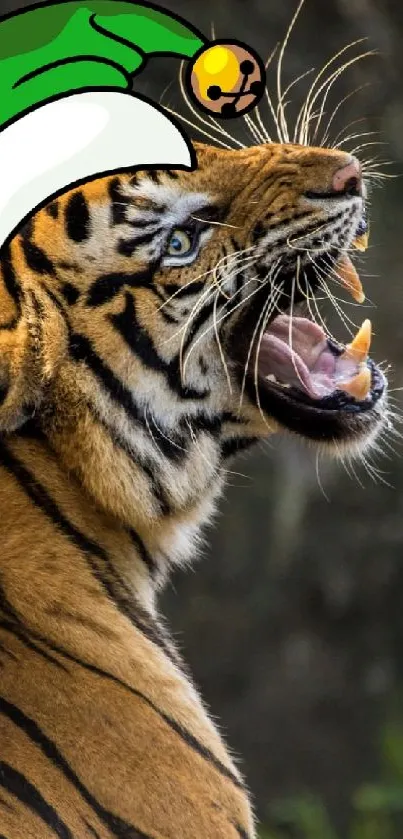 Tiger wearing a Santa hat in a natural setting.