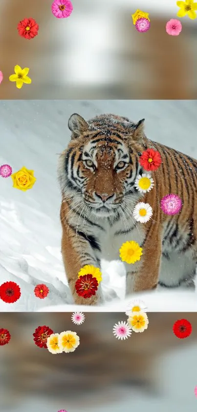 Tiger walking in snow surrounded by colorful flowers.