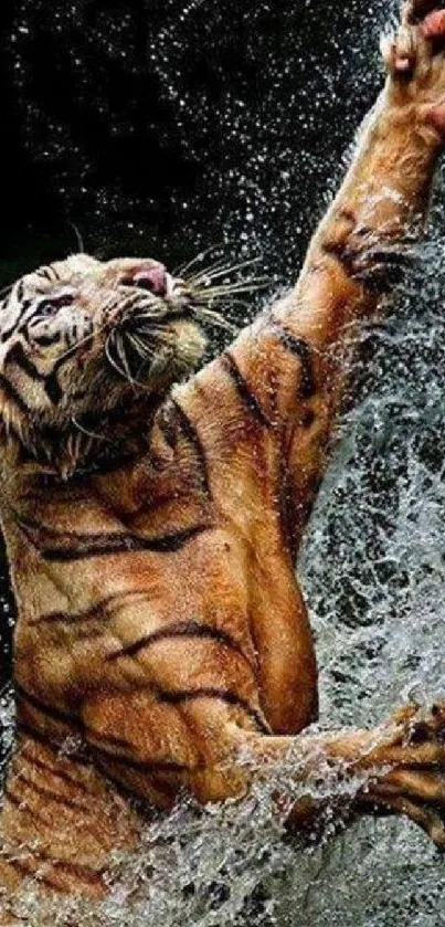 Tiger leaping in water with splash effect.