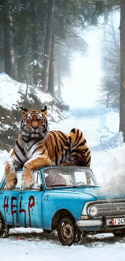 Tiger lying on a car in a snowy forest.